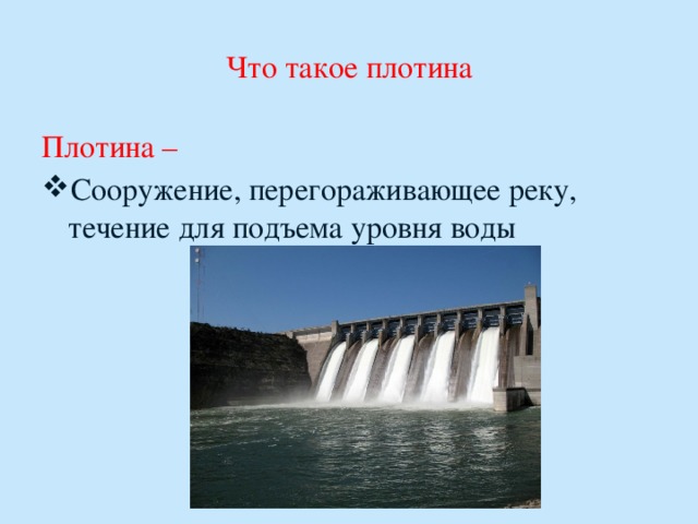 Выбери изображение речного строителя плотин обитающего в кузбассе