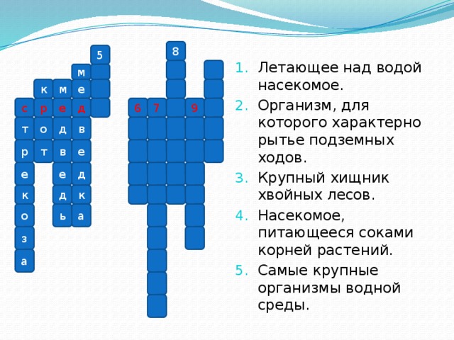 Летающее над водой насекомое. Организм, для которого характерно рытье подземных ходов. Крупный хищник хвойных лесов. Насекомое, питающееся соками корней растений. Самые крупные организмы водной среды.