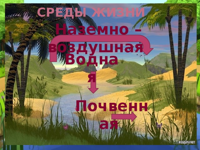 Среды жизни Наземно – воздушная Водная Почвенная