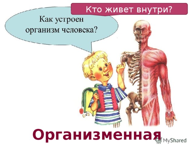 Кто живет внутри? Организменная среда