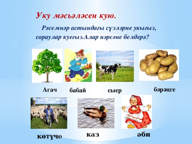 Уку мәсьәләсен кую.  Рәсемнәр астындагы сүзләрне укыгыз, сораулар куегыз.Алар нәрсәне белдерә? бәрәңге Агач бабай сыер  каз әби көтүче 