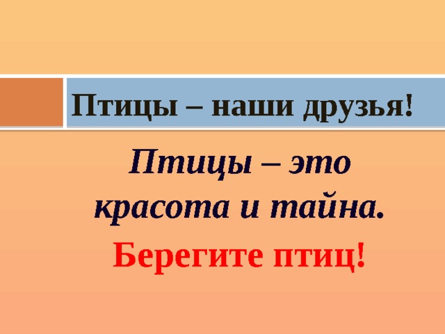 Птицы – наши друзья! Птицы – это красота и тайна. Берегите птиц! 
