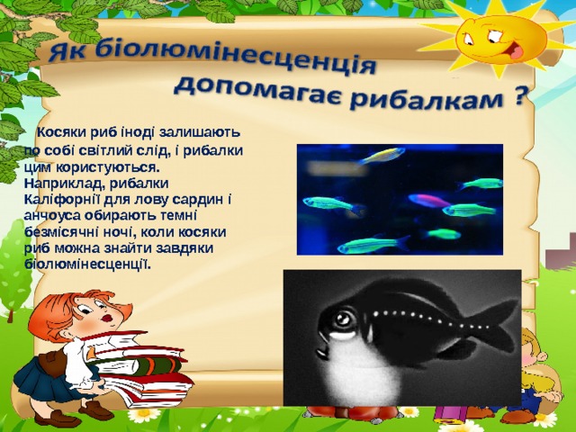  Косяки риб іноді залишають по собі світлий слід, і рибалки цим користуються. Наприклад, рибалки Каліфорнії для лову сардин і анчоуса обирають темні безмісячні ночі, коли косяки риб можна знайти завдяки біолюмінесценції. 