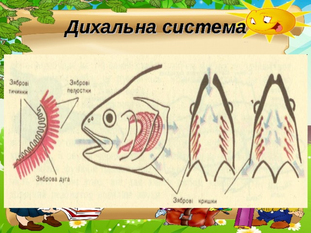 Дихальна система 