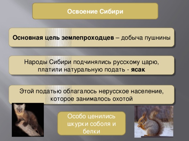 Освоение Сибири Основная цель землепроходцев – добыча пушнины Народы Сибири подчинялись русскому царю, платили натуральную подать - ясак Этой податью облагалось нерусское население, которое занималось охотой Особо ценились шкурки соболя и белки 