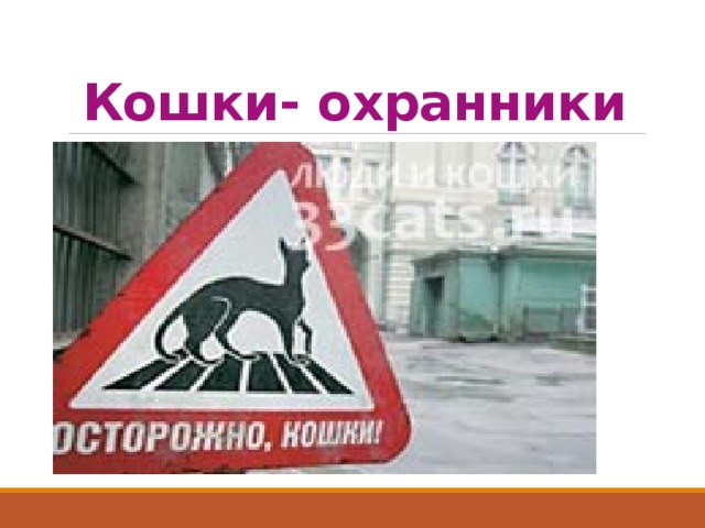 Кошки- охранники 