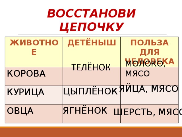 ВОССТАНОВИ ЦЕПОЧКУ ЖИВОТНОЕ ДЕТЁНЫШ КОРОВА ПОЛЬЗА ДЛЯ ЧЕЛОВЕКА КУРИЦА ОВЦА МОЛОКО, МЯСО ЯЙЦА, МЯСО ЦЫПЛЁНОК ЯГНЁНОК ШЕРСТЬ, МЯСО . 