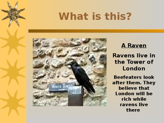 What is this? A Raven Ravens live in the Tower of London Beefeaters look after them. They believe that London will be rich while ravens live there  