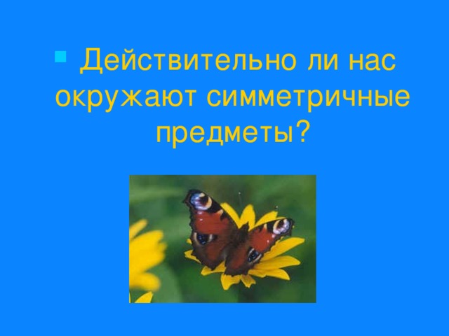  Действительно ли нас окружают симметричные предметы? 