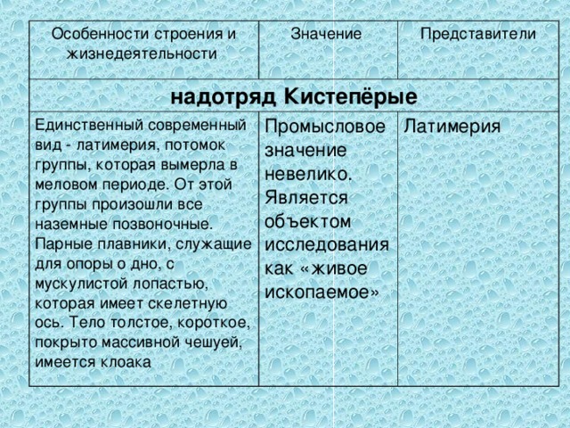 Таблица представители особенности строения значение