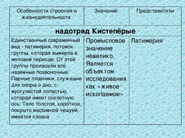 Особенности строения и жизнедеятельности Значение надотряд Кистепёрые Единственный современный вид - латимерия, потомок группы, которая вымерла в меловом периоде. От этой группы произошли все наземные позвоночные. Парные плавники, служащие для опоры о дно, с мускулистой лопастью, которая имеет скелетную ось. Тело толстое, короткое, покрыто массивной чешуей, имеется клоака Представители Промысловое значение невелико. Является объектом исследования как «живое ископаемое» Латимерия