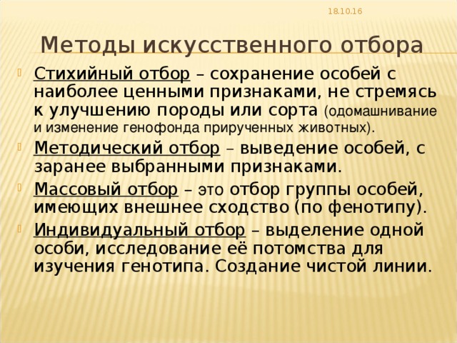 Почему естественный отбор приводит к возникновению различий