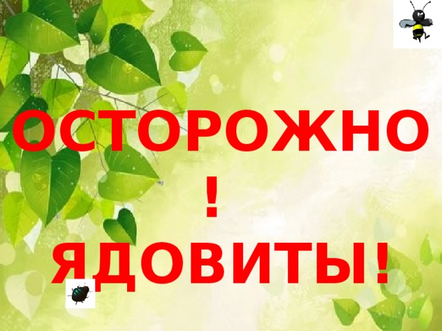 Осторожно ядовитые растения для детей презентация