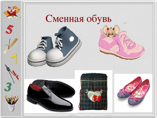 Картинка сменная обувь