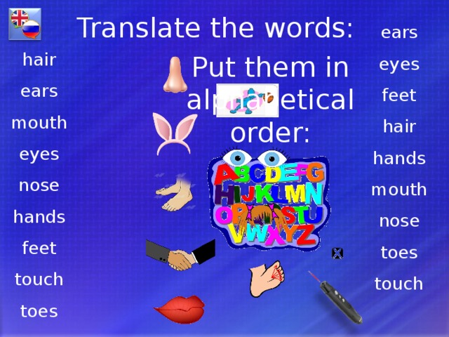 Translate the words: ears eyes feet hair hands mouth nose toes touch hair ears mouth eyes nose hands feet touch toes Put them in alphabetical order: 