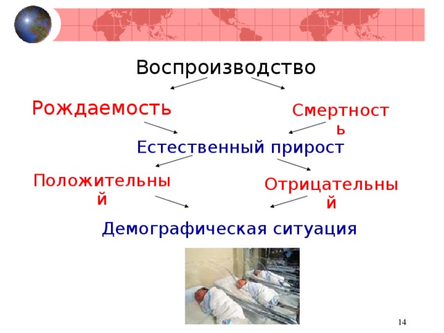 Воспроизводство Рождаемость Смертность Естественный прирост Положительный Отрицательный Демографическая ситуация  
