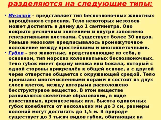  Многоклеточные животные разделяются на следующие типы:  Мезозой – представляет тип беспозвоночных животных упрощённого строения. Тело некоторых мезозоев может достигать в длину до 1 сантиметра. Оно покрыто ресничным эпителием и внутри заполнено генеративными клетками. Существует более 30 видов. Раньше мезозоям предписывалось промежуточное положение между простейшими и многоклеточными. Губки – это животные, представляющие из себя, в основном, тип морских колониальных беспозвоночных. Тело губок имеет форму мешка или бокала, который с одной стороны прикреплён к общей основе, а с другой через отверстие общается с окружающей средой. Тело пронизано многочисленными порами и состоит из двух слоев клеток, между которыми расположено бесструктурное вещество. В этом веществе развиваются скелетные образования, в виде известковых, кремнеземных игл. Высота одиночных губок колеблется от нескольких мм до 3 см, размеры колоний могут достигать до 1,5 м. В природе существует до 3 тысяч видов губок, обитающих на территории от прибрежной зоны до глубины 8500 метров. 