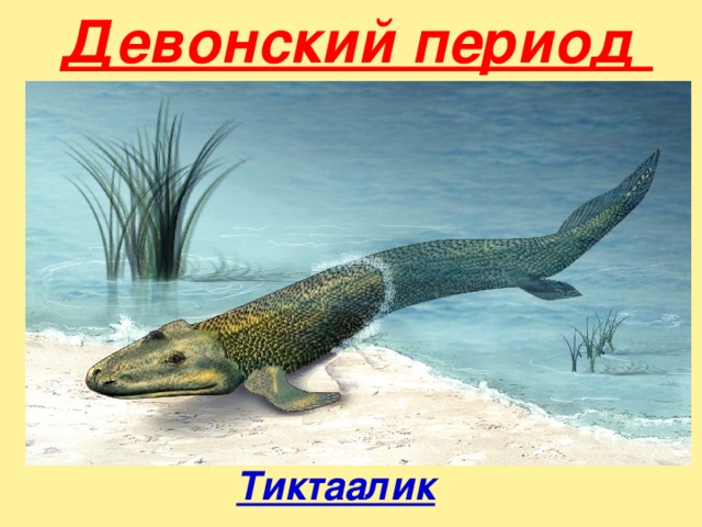 Девонский период Тиктаалик 