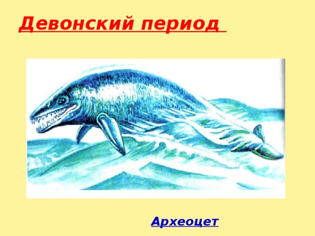 Девонский период     Археоцет 