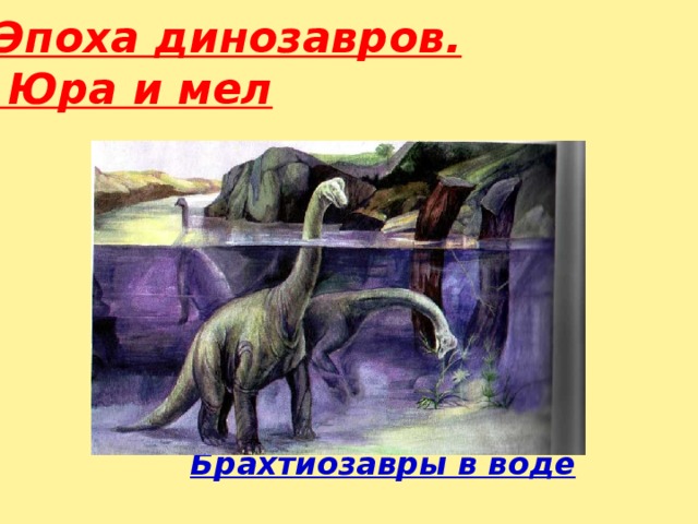 Эпоха динозавров.  Юра и мел  Брахтиозавры в воде 