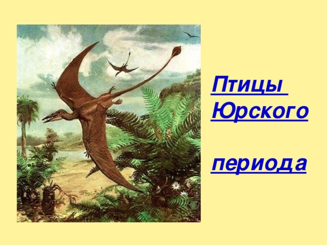 Птицы Юрского периода 