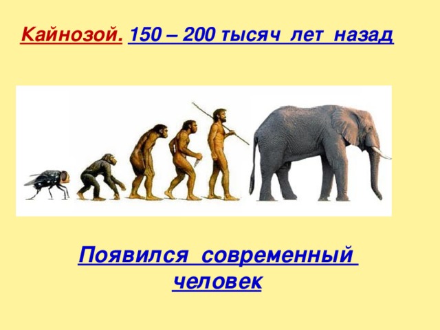 Кайнозой.  150 – 200 тысяч лет назад  Появился современный человек 