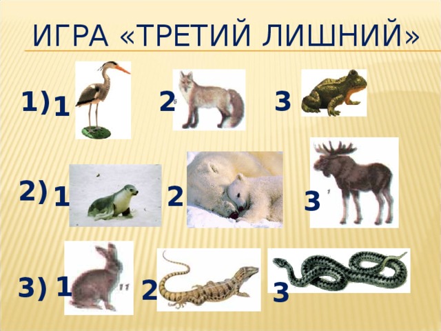 Игра «Третий лишний» 1) 3 2 1 2) 1 2 3 1 3) 2 3 