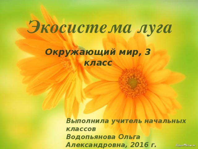 Экосистема луга Окружающий мир, 3 класс Выполнила учитель начальных классов Водопьянова Ольга Александровна, 2016 г. 