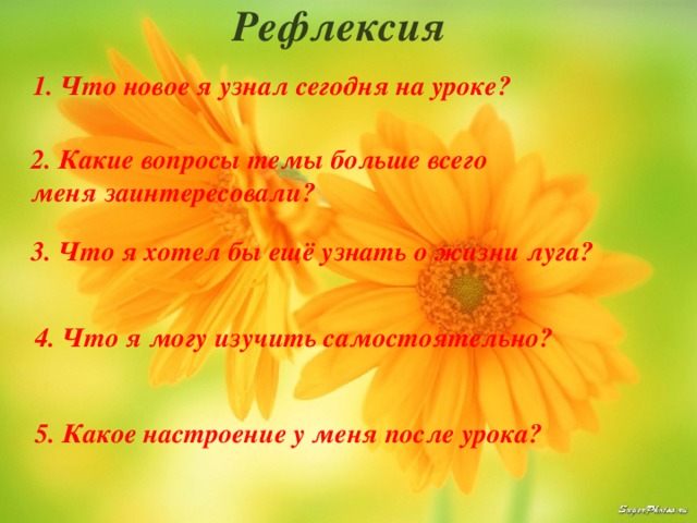 Рефлексия  1. Что новое я узнал сегодня на уроке? 2. Какие вопросы темы больше всего меня заинтересовали? 3. Что я хотел бы ещё узнать о жизни луга? 4. Что я могу изучить самостоятельно? 5. Какое настроение у меня после урока? 