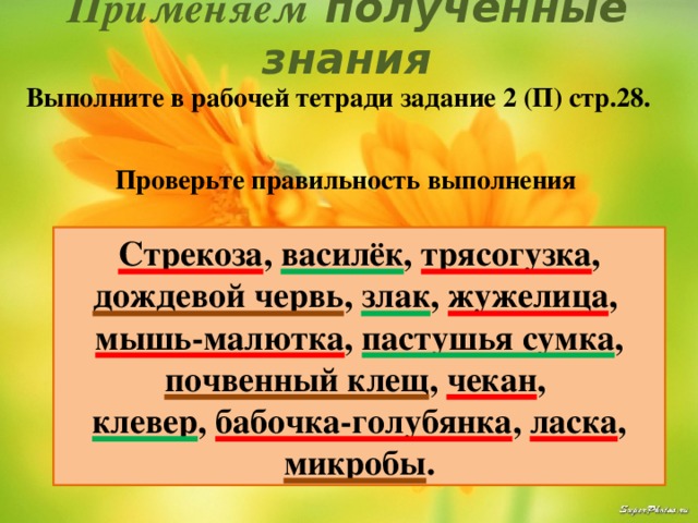 Применяем полученные знания Выполните в рабочей тетради задание 2 (П) стр.28. Проверьте правильность выполнения Стрекоза , василёк , трясогузка , дождевой червь , злак , жужелица , мышь-малютка , пастушья сумка , почвенный клещ , чекан , клевер , бабочка-голубянка , ласка , микробы . 