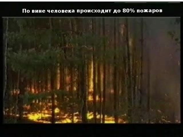 По вине человека происходит до 80% пожаров