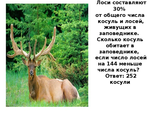 Лоси составляют 30% от общего числа  косуль и лосей, живущих в заповеднике. Сколько косуль обитает в заповеднике,  если число лосей на 144 меньше числа косуль?  Ответ: 252 косули