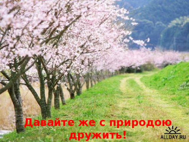 Давайте же с природою дружить!