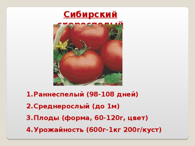 Сибирский скороспелый Раннеспелый (98-108 дней) Среднерослый (до 1м) Плоды (форма, 60-120г, цвет) Урожайность (600г-1кг 200г/куст)  