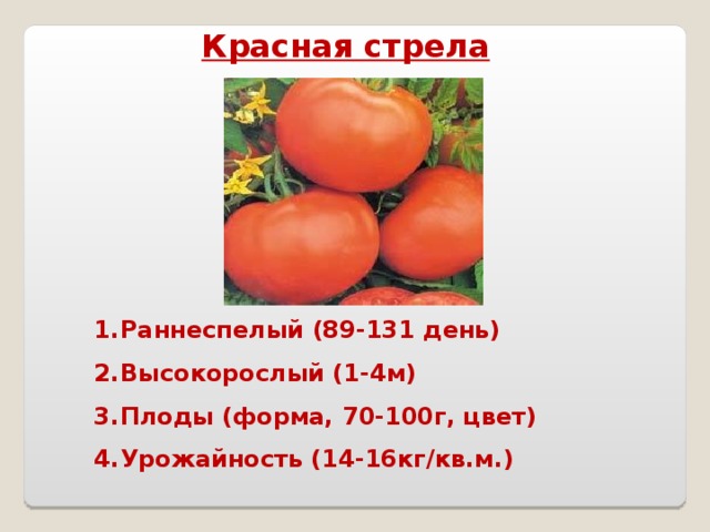 Красная стрела Раннеспелый (89-131 день) Высокорослый (1-4м) Плоды (форма, 70-100г, цвет) Урожайность (14-16кг/кв.м.)  