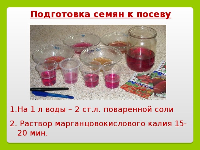Подготовка семян к посеву На 1 л воды – 2 ст.л. поваренной соли 2. Раствор марганцовокислового калия 15-20 мин. 
