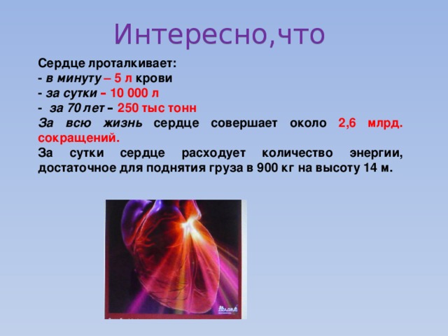 Интересно,что Сердце лроталкивает: - в минуту – 5 л крови - за сутки – 10 000 л  - за 70 лет – 250 тыс тонн  За всю жизнь сердце совершает около 2,6 млрд. сокращений. За сутки сердце расходует количество энергии, достаточное для поднятия груза в 900 кг на высоту 14 м. 