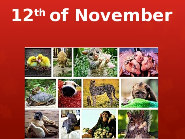 12 th of November   