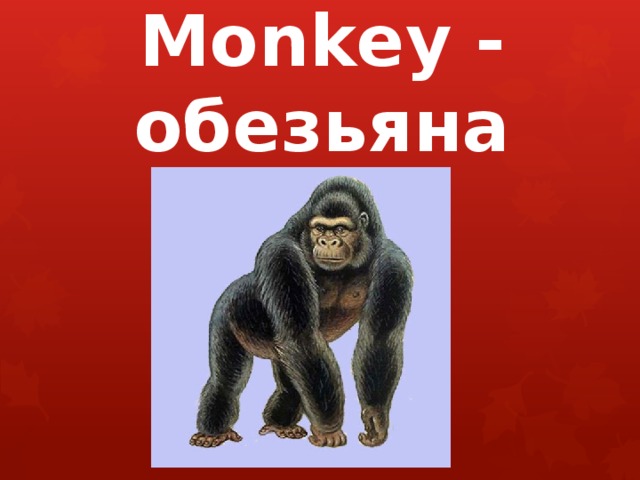 Monkey - обезьяна 