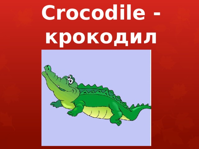 Crocodile - крокодил 