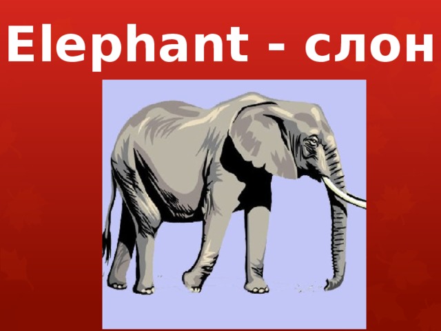 Elephant - слон 