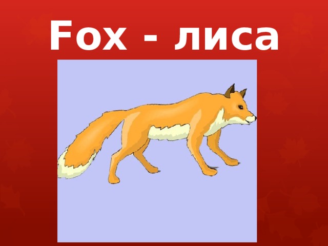 Fox - лиса 