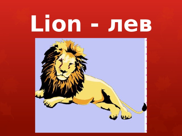 Lion - лев 