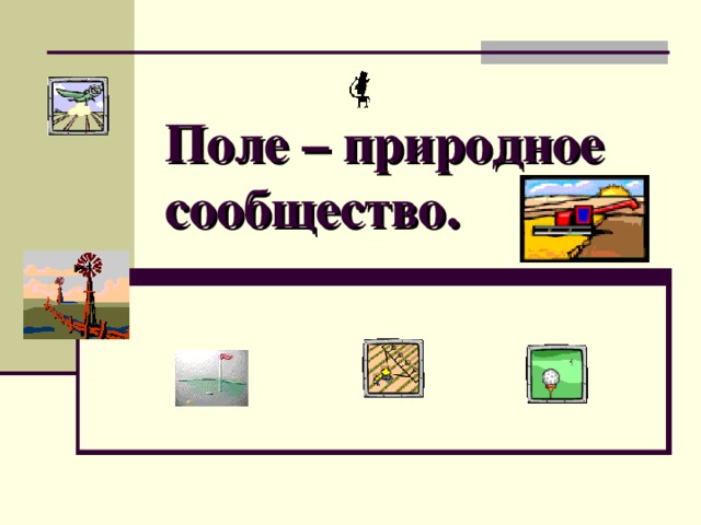 Поле – природное сообщество. 