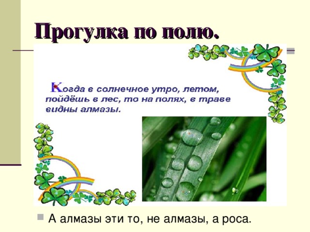 Прогулка по полю. А алмазы эти то, не алмазы, а роса. 
