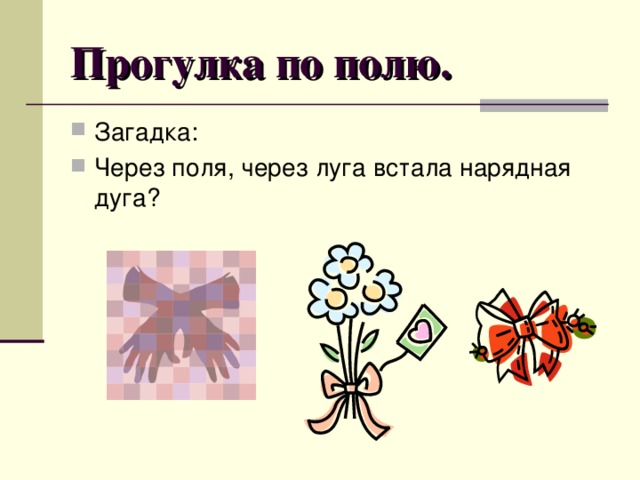 Прогулка по полю. Загадка: Через поля, через луга встала нарядная дуга? 