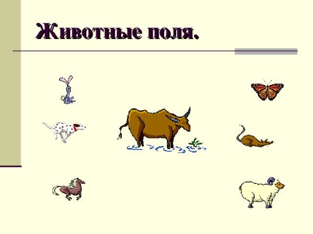 Животные поля. 