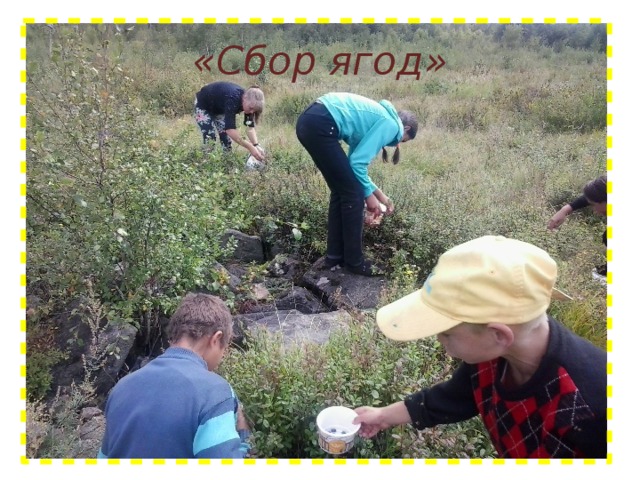 «Сбор ягод» 