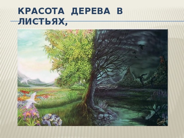Красота дерева в листьях, 