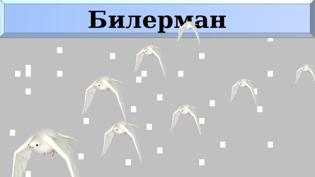 Билерман 